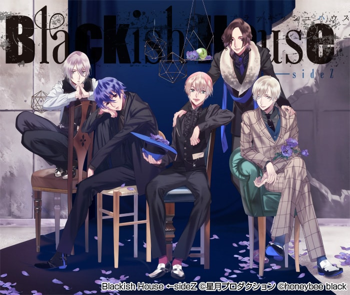 Blackish House ←sideZ